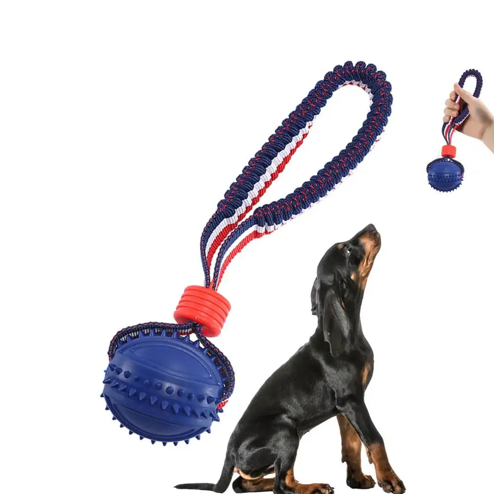 Ball Toy with Elastic Rope for Dogs