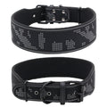 Wide Solid Color Dog Collar