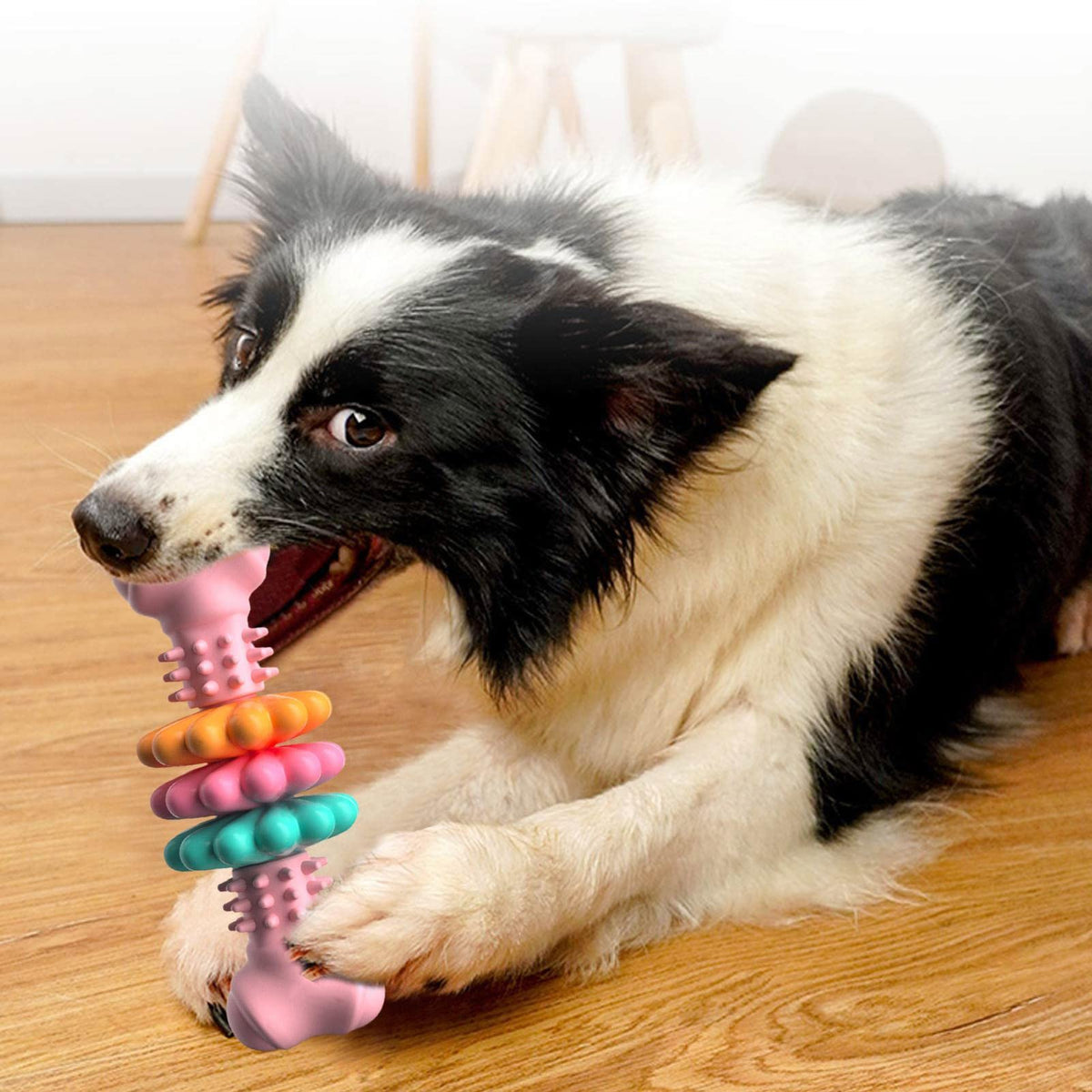 Bone-Shaped TPR Chew Toy for Dogs