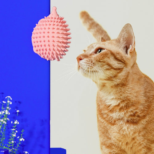 Wall Corner Cat Rubbing Brush