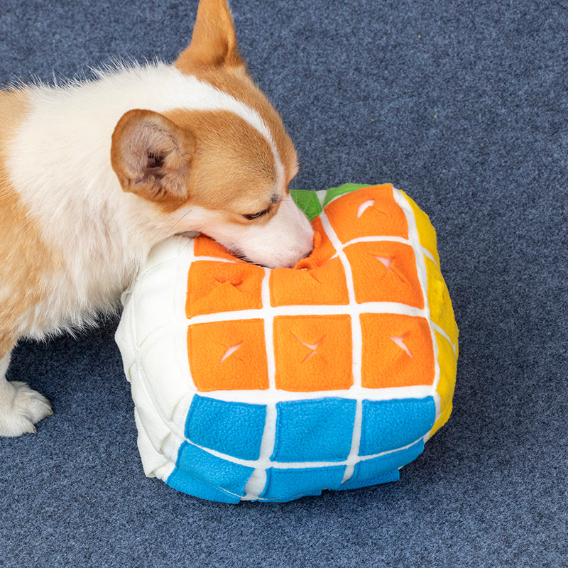 Cube Snuffle Toy for Dogs and Cats