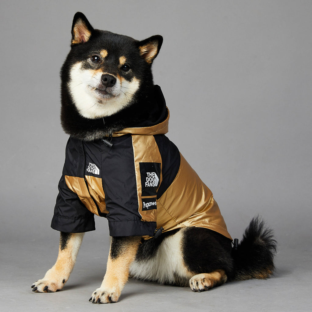 Gold Dog Raincoat Jacket