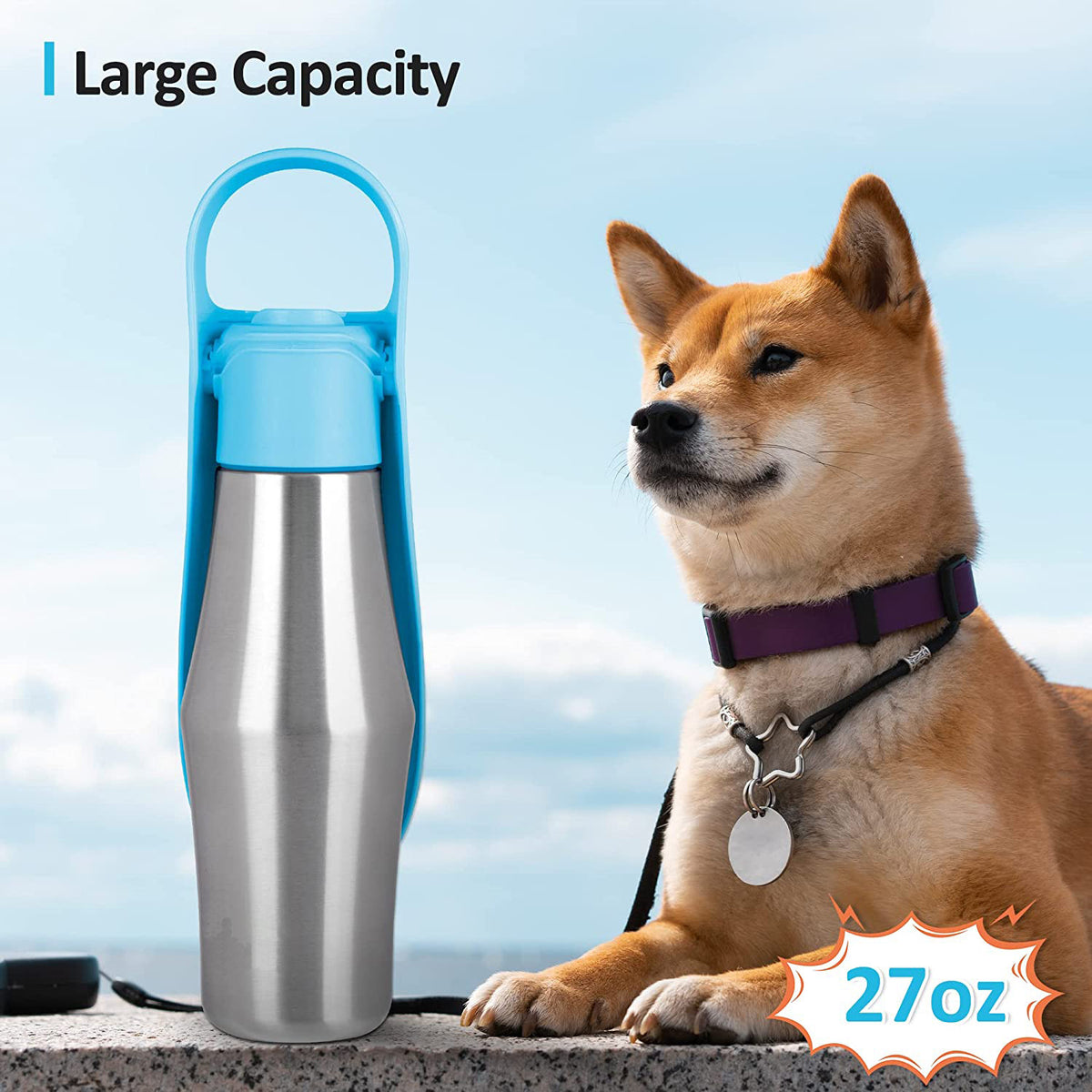 Stainless Steel Dog Water Bottle with Leaf Bowl