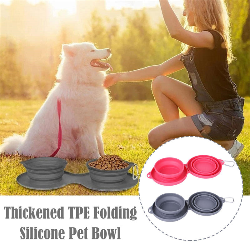 Collapsible Double Pet Bowl with Mat