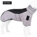 Padded Winter Dog Coat