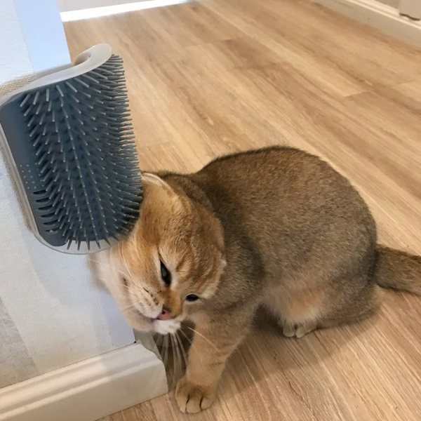 Cat Corner Self-Grooming Brush