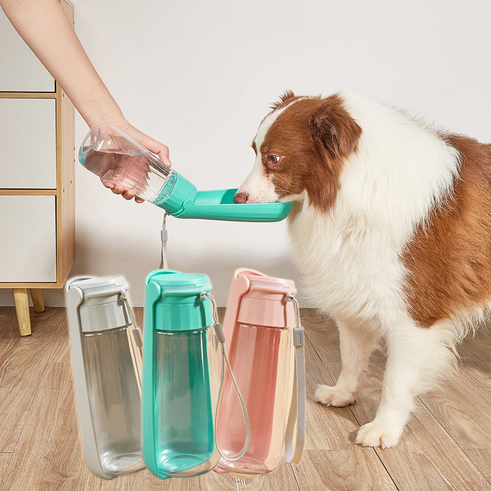 Folding Water Bottle for Medium-Large Dogs