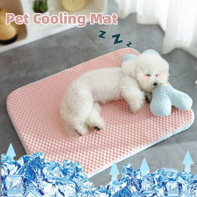 Big-Eyed Animal Cool-Feel Pet Mat