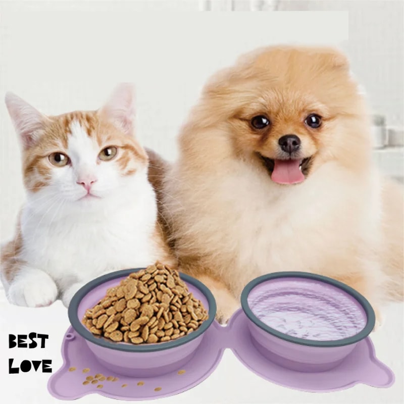 Cat and dog with the Foldable Double Travel Bowl