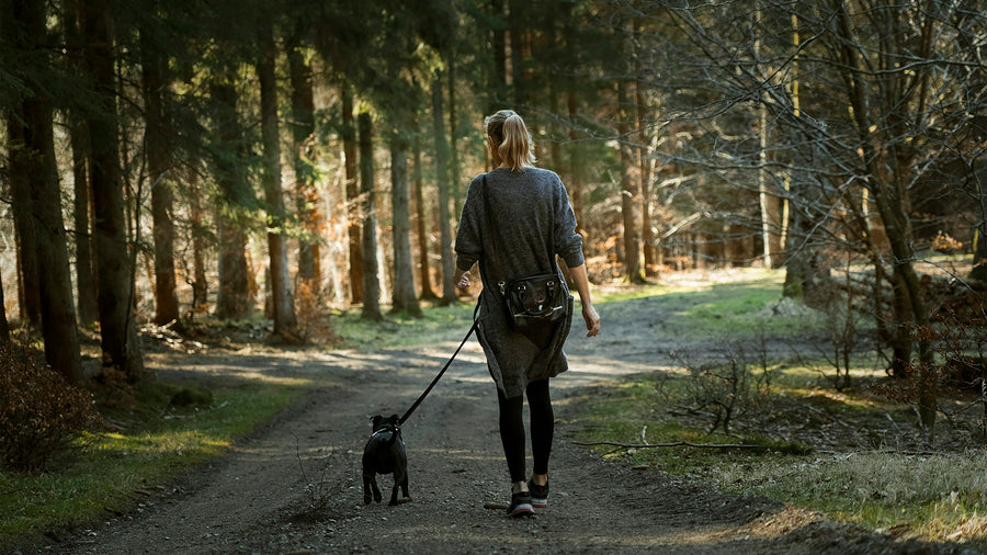 A woman walking her dog along a sunlit forest path